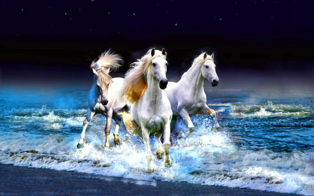 Horses running water beach night free wallpaper - medium preview image