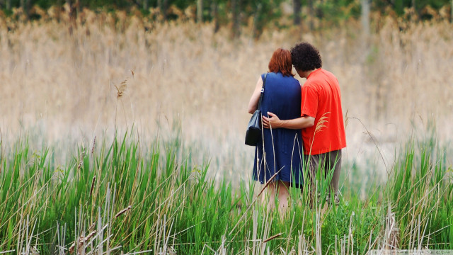 People standing tall grass water free wallpaper - medium preview image