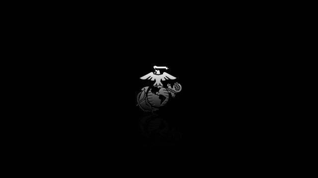 Bird black background reflection person free wallpaper - medium preview image