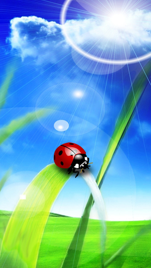 Ladybug green grass blue sky free wallpaper - medium preview image