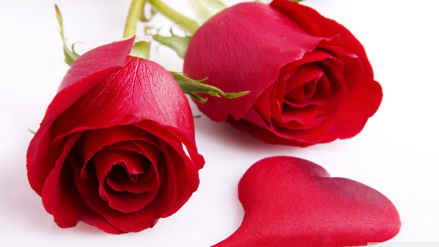 Two red roses heart shaped free wallpaper - medium preview image