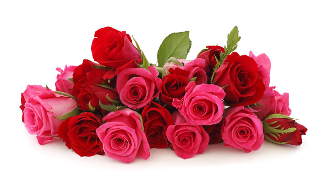Red roses green leaves white #2 free wallpaper - medium preview image