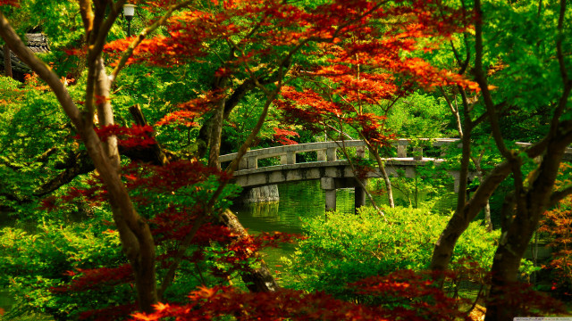 Bridge park trees flowers light free wallpaper - medium preview image