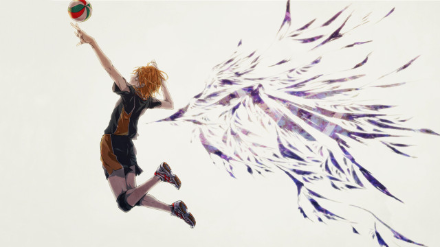 Woman flying ball feathers air free wallpaper - medium preview image