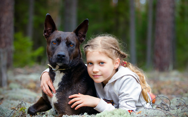 Girl dog lying grass woods free wallpaper - medium preview image
