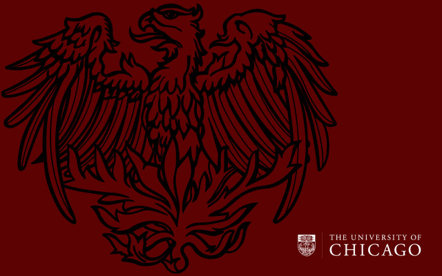 Black red eagle chicago wings free wallpaper - medium preview image