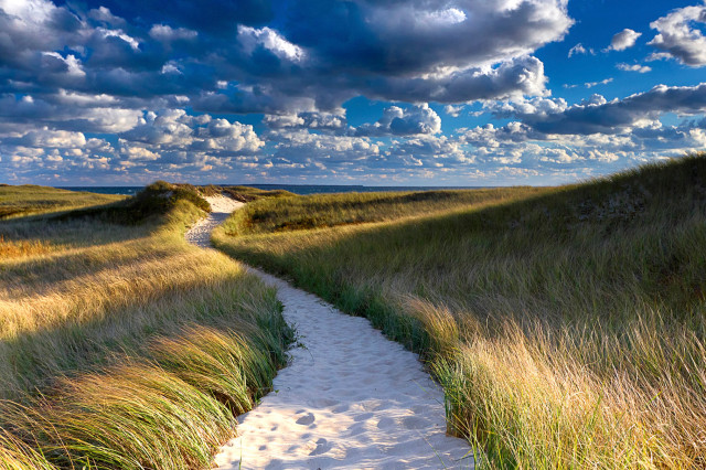 Grassy field path sky clouds free wallpaper - medium preview image