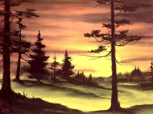 Sunset forest trees fog distant free wallpaper - medium preview image