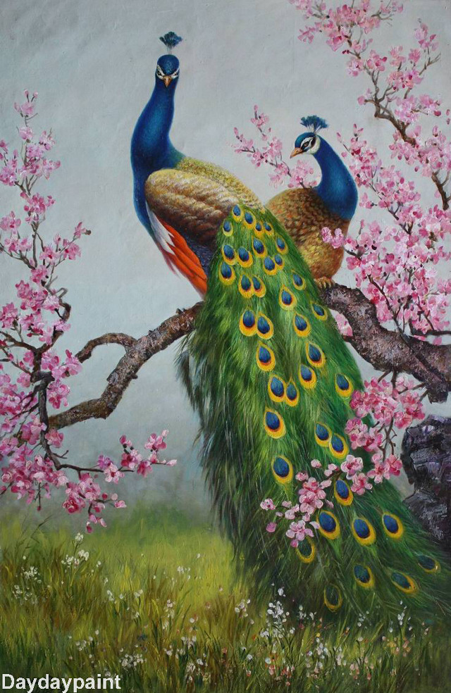 Peacocks tree branch pink flowers free wallpaper - medium preview image