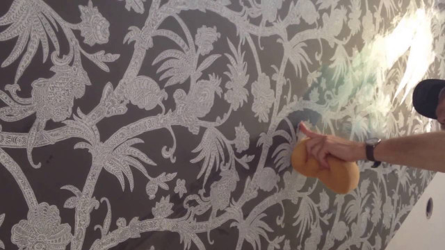 Man painting wall sprayer sponge free wallpaper - medium preview image