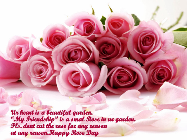 Pink roses valentine bouquet engrish free wallpaper - medium preview image
