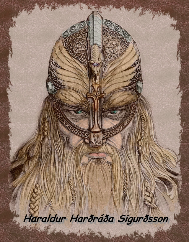 Man long hair beard helmet #2 free wallpaper - medium preview image