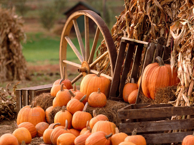 Pumpkins wagon hay pile fall free wallpaper - medium preview image