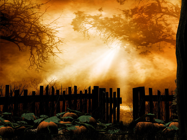 Fence pumpkins foggy sky sunbeam free wallpaper - medium preview image