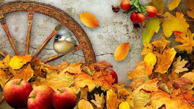 Bird wheel autumn leaves apples free wallpaper - medium preview image