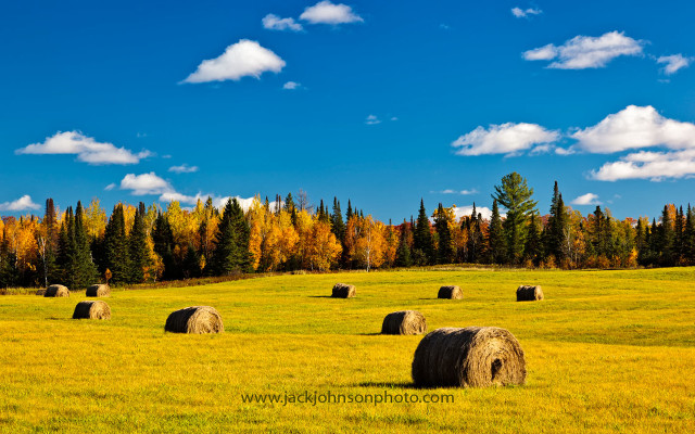 Hay bales autumn foliage trees free wallpaper - medium preview image