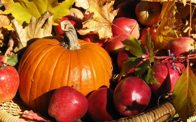 Basket filled apples pumpkin leaves free wallpaper - medium preview image