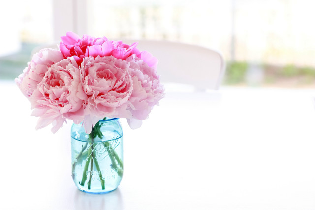 Vase pink flowers table white free wallpaper - medium preview image