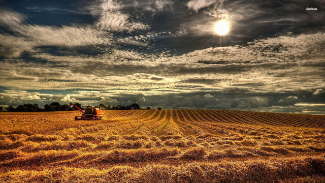 Tractor driving field hay cloudy free wallpaper - medium preview image