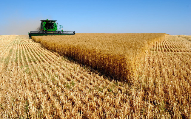 Combine harvesting wheat field tractor free wallpaper - medium preview image