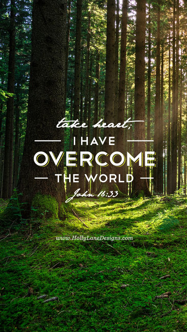 Forest bible quote nature peaceful free wallpaper - medium preview image