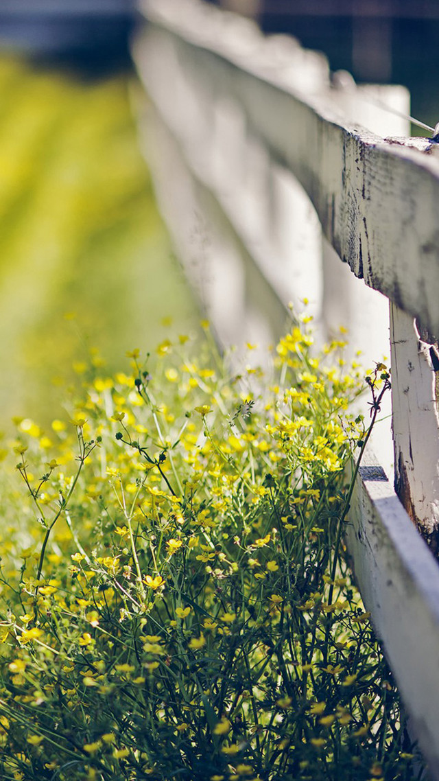 Bench flowers grass field background free wallpaper - medium preview image