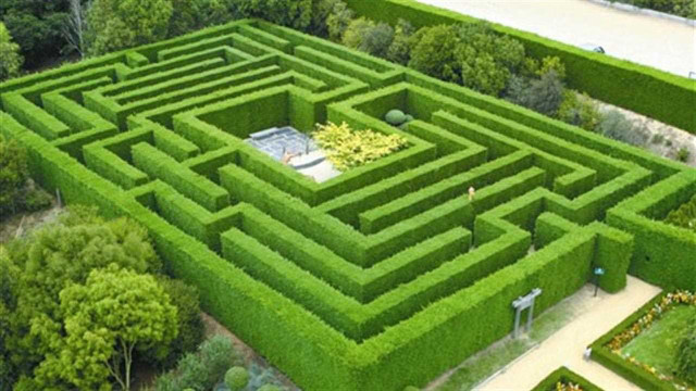 Green maze park trees man free wallpaper - medium preview image