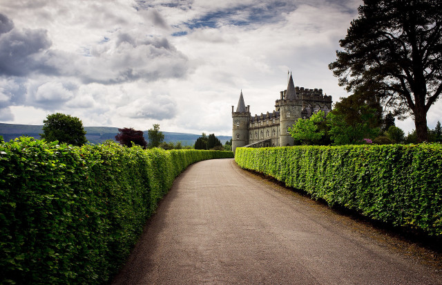 Road castle hedge lined path free wallpaper - medium preview image