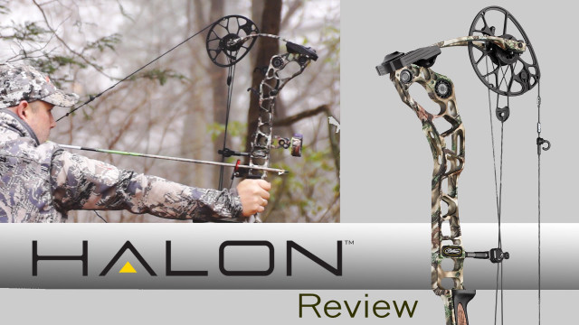Man holding bow arrow forest #2 free wallpaper - medium preview image