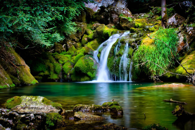 Waterfall forest mossy rocks trees #16 free wallpaper - medium preview image