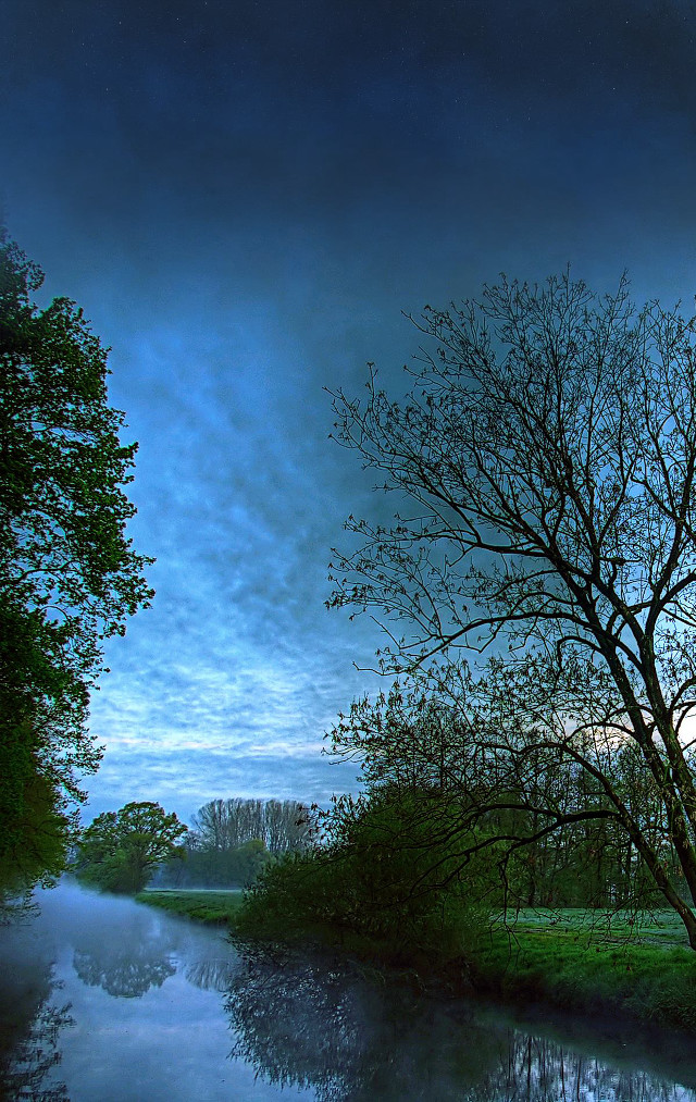Tree river night blue sky free wallpaper - medium preview image