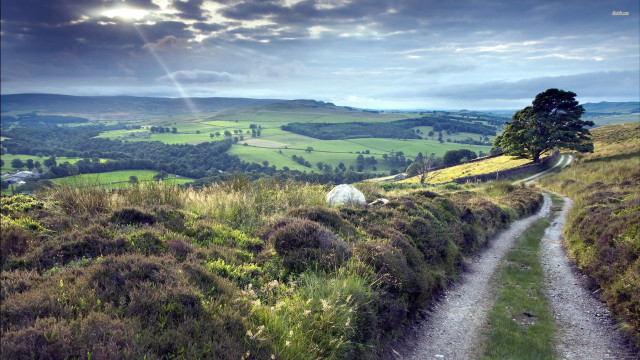 Dirt road lush green countryside free wallpaper - medium preview image