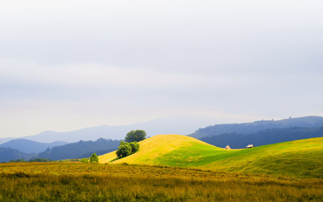 Grassy hill trees mountains background free wallpaper - medium preview image