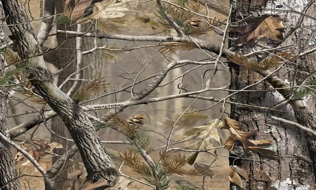 Camouflage trees leaves building clock free wallpaper - medium preview image