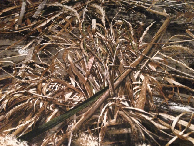 Dead plants field grass dirt free wallpaper - medium preview image