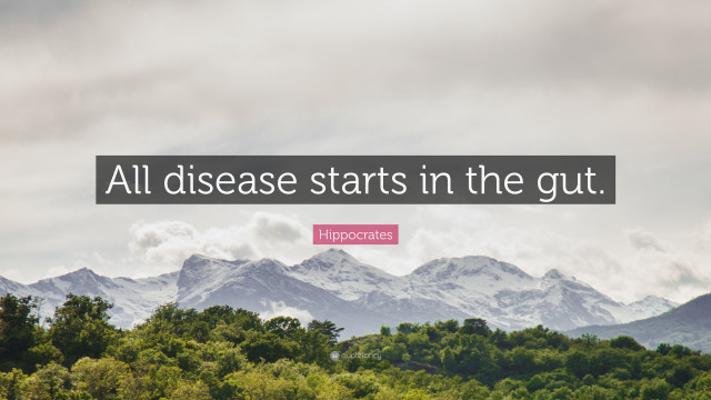 Quote mountain trees background pink free wallpaper - medium preview image