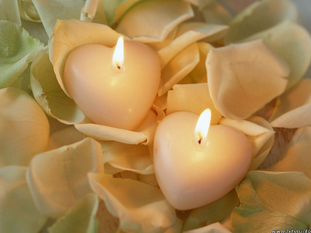Candles flower arrangement leaves petals free wallpaper - medium preview image