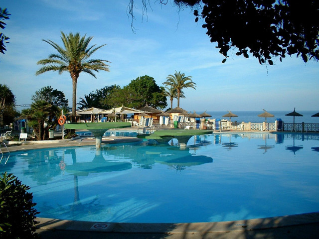 Large swimming pool beach palm free wallpaper - medium preview image