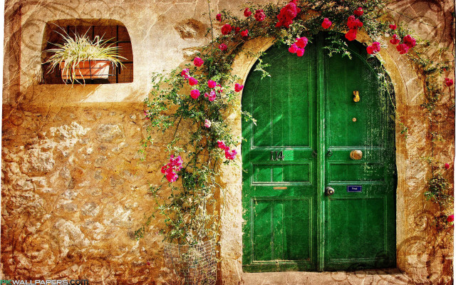 Green door flower vine potted free wallpaper - medium preview image