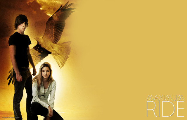 Man woman standing bird flying free wallpaper - medium preview image