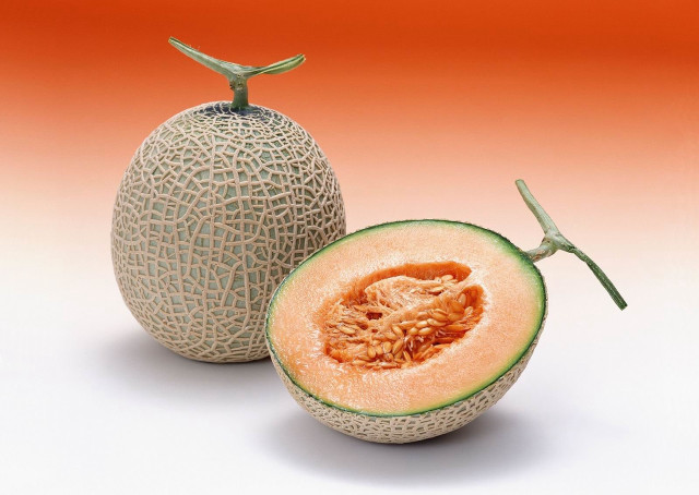Melon cut half whole background #4 free wallpaper - medium preview image