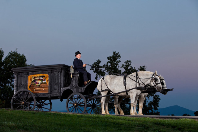 Man riding horse drawn carriage #2 free wallpaper - medium preview image