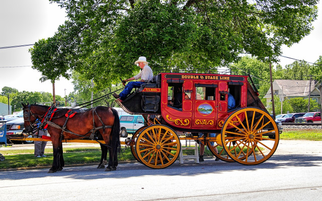 Man horse carriage street park free wallpaper - medium preview image