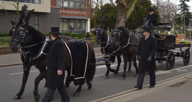 Man top hat leading carriage free wallpaper - medium preview image