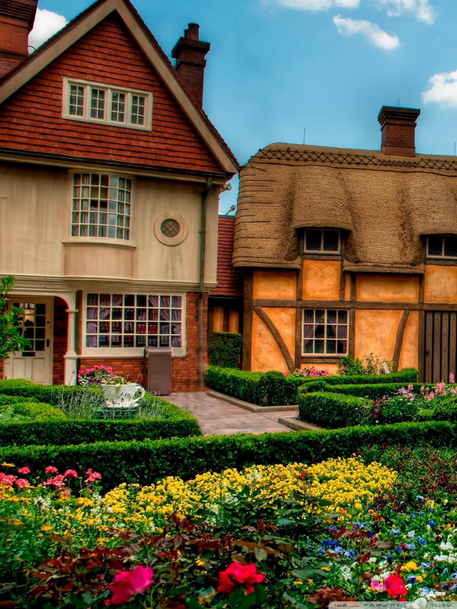 House garden hedge boxwood hedge free wallpaper - medium preview image