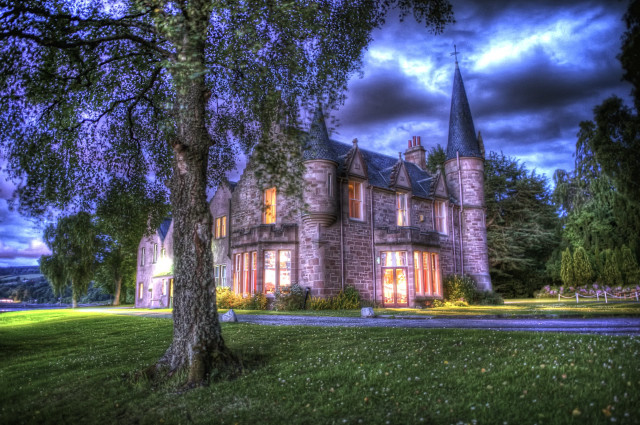 Large castle clock tower tree free wallpaper - medium preview image