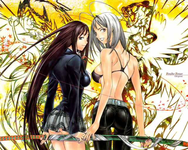 Anime girls swords dragon flowers free wallpaper - medium preview image