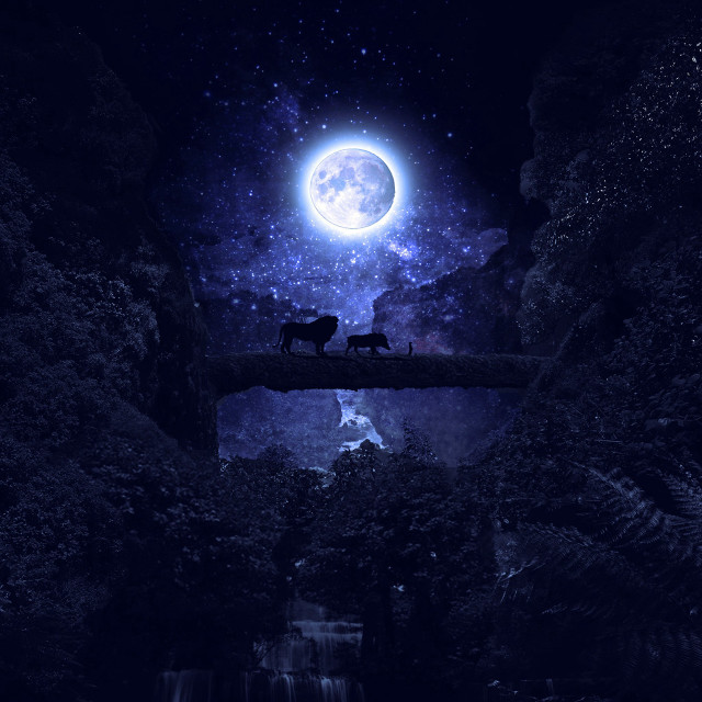 Animals bridge full moon waterfall free wallpaper - medium preview image