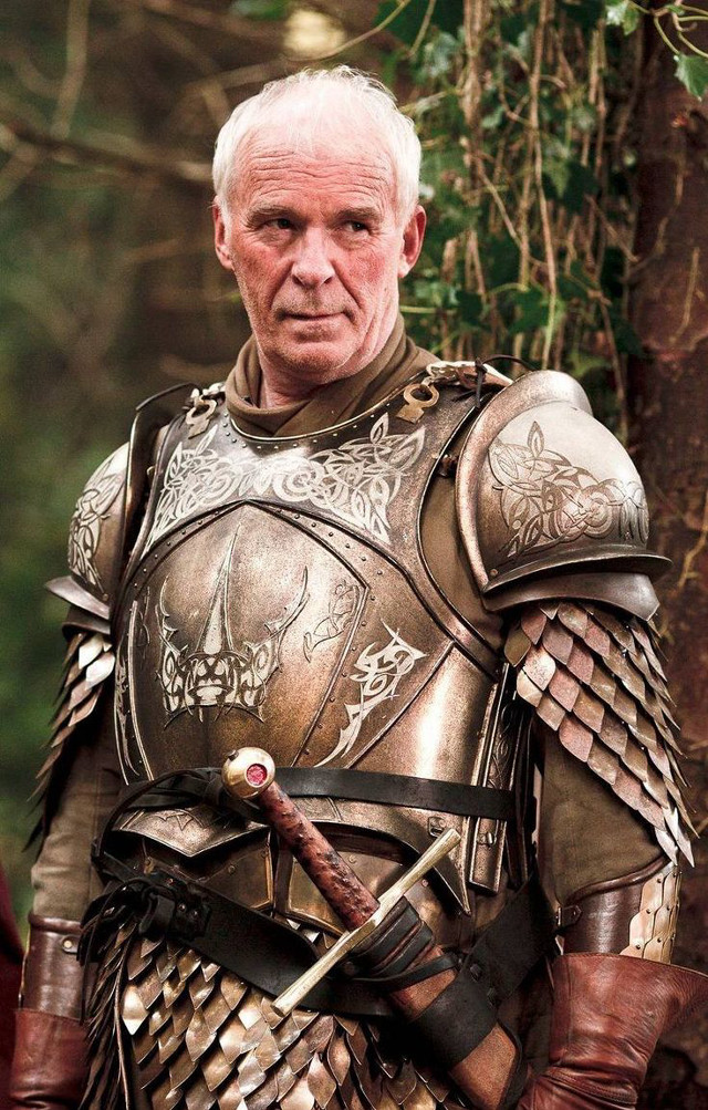 Man armor sword serious look free wallpaper - medium preview image