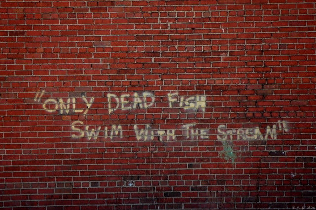 Brick wall graffiti storm fishstop free wallpaper - medium preview image